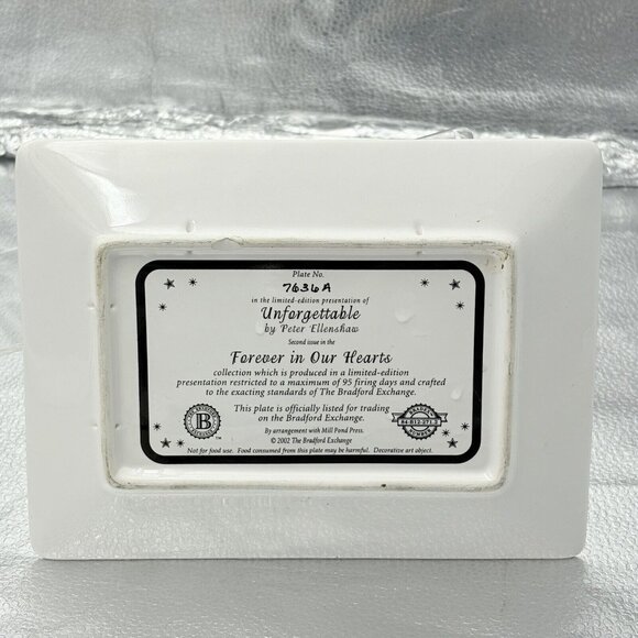 VTG Bradford‎ Exchange Plate Unforgettable Forever in our Hearts Twin Towers NYC - Picture 5 of 10